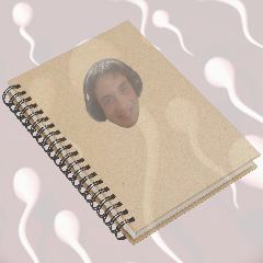FAN-FICS AIVER-ALES